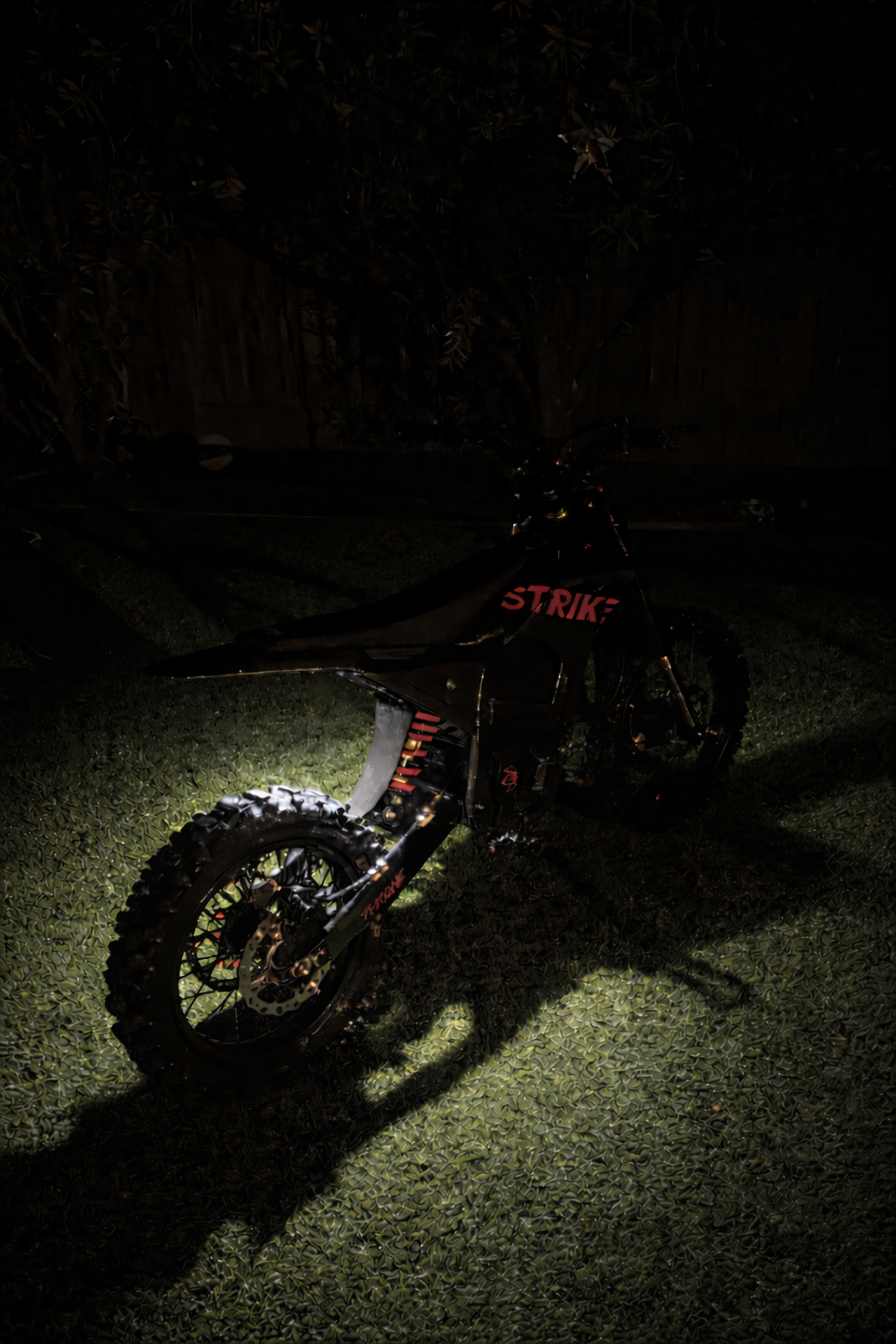 Rock light